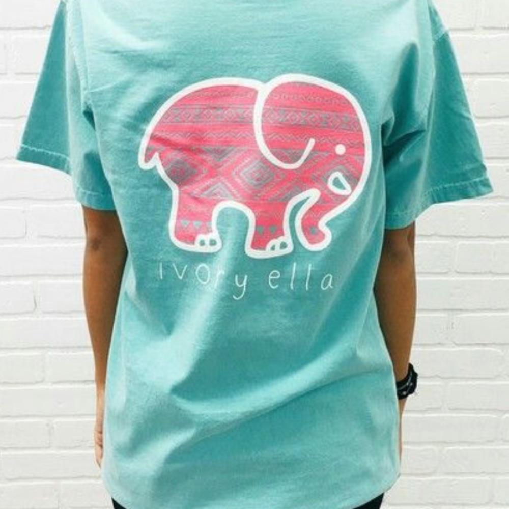 Ivory Ella short sleeve top turquoise and pink!